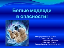 Ученическая презентация по окружающему миру Белые медведи в опасности