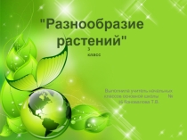 Презентация по окружающему миру Разнообразие растений 3 класс