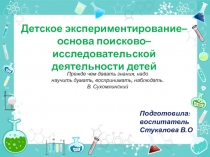 Брошюра по опытно-экспериментальной деятельности