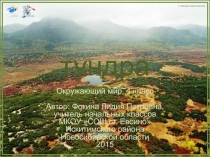 Интерактивный тренажёр по теме Тундра