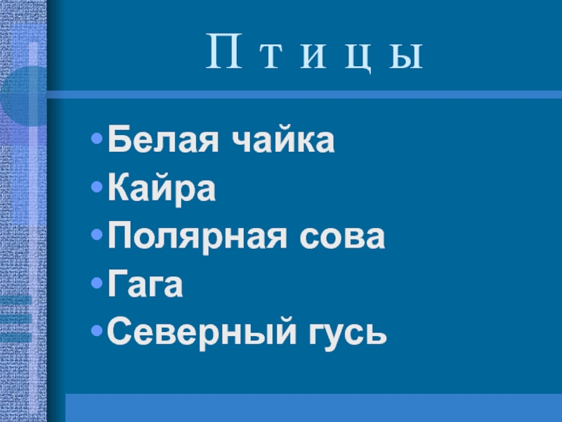 Презентация к уроку по предмету Окружающий мир Заполярье П т и ц ыБелая чайкаКайраПолярная сова ГагаСеверный гусь П т и ц ыБелая чайкаКайраПолярная сова ГагаСеверный гусь