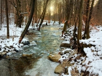 1 сыйныфта Е хәрефе темасына презентация