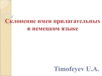 Презентация Склонение имен прилагательных в немецком языке