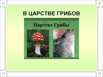 Презентация к уроку окружающего мира в 3 классе В царстве грибов