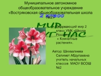 Презентация к уроку Комнатные растения 2 класс