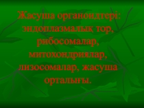 Жасушаның ашылу және зерттелу тарихы