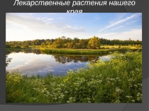 Лекарственные растения нашего края