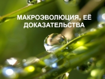 Макроэволюция ее направления и формы
