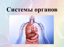 Презентация по биологии Системы органов