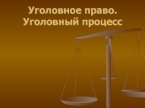 Уголовное право. Уголовный процесс