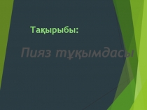 Пияз тұқымдастар (II - курс)