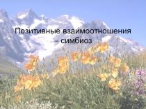 Симбиоз