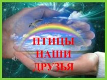 Презентация ПТИЦЫ НАШИ ДРУЗЬЯ