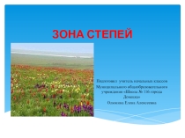 Презентация по окружающему миру на тему Зона степей (4 класс)