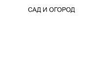 Презентация для учащихся начальных классов Сад и огород