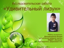 Удивительный лизун