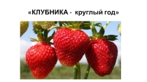 Исследовательский проект на тему: Клубника круглый год. Выращивание клубники на подоконнике.( 3 класс)