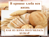 Презентация к литературному мероприятию В крошке хлеба вся жизнь земная