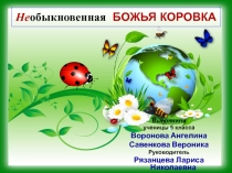 Исследовательская работа по биологии на тему Класс Насекомые (7 класс)