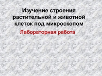 Презентация Строение растительной и животной клетки