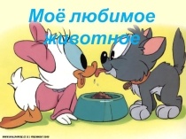 Презентация для начальных классов по теме Моё любимое животное