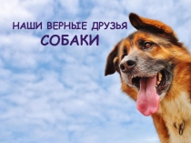 Презентация Наши верные друзья-СОБАКИ