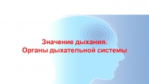 Презентация по биологии Значение органов дыхания. строение дыхательной системы