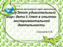 Исследовательская деятельность мир глазами ребёнка