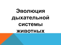 Презентация по биологии на тему Эволюция Дыхательной системы
