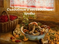 Презентация Съедобные и несъедобные грибы