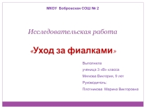 Исследовательская работа Уход за фиалками