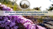 Презентация: Птицы бухты Улан-Хушин (о. Ольхон)