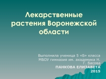 Презентация по билогии на тему Лекарственные растения Воронежской области
