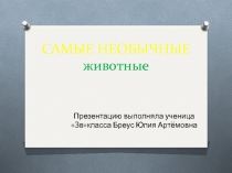 Презентация по окружающему миру 3 класс