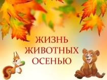 Презентация по ознакомлению дошкольников с природой Жизнь животных осенью
