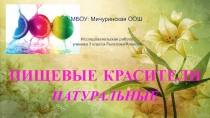 Презентация Исследовательская работа ученика 3 класса Пищевые красители