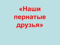 Презентация по окружающему день птиц