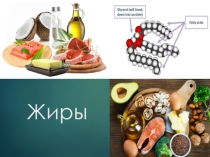 Презентация по химии по теме: Жиры