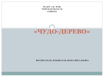 Презентация учебного процесса Чудо-дерево
