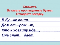 Правописание ъ и ь знаков (5класс)