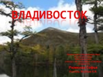 Презентация по окружающему миру на тему Мой город -Владивосток