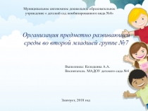 Организация предметно развивающей среды во второй младшей группе №7