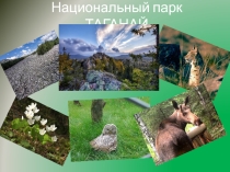 Национальный парк ТАГАНАЙ - интерактивная игра с QR кодами