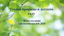 Консультация для воспитателей ДОУ Уголок природы в ДОУ!