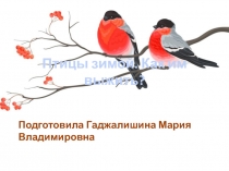 Мини-проект Птицы зимой. Как им выжить?