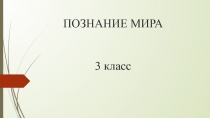 Презентация Органы чувств 3 класс