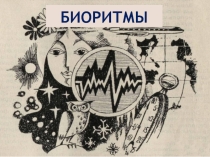Презентация по валеологии Биоритмы