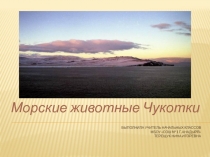 Презентация Морские животные Чукотки