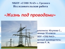 Презентация Жизнь под проводами