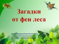 Загадки от феи леса